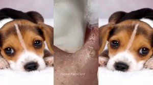 Relax squeezing out blackheads #63 Черные точки