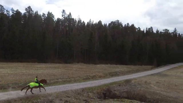Jutta & Kirppu koekuvaus, otto 7 смотреть онлайн