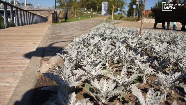 Боровичи набережная смотреть онлайн