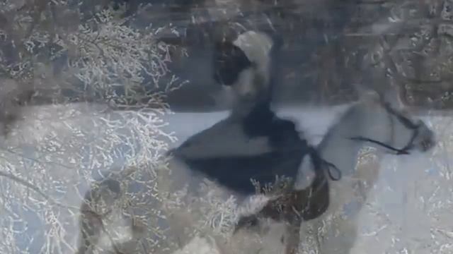 Зима На музыку Г Свиридова Метель Светлой памяти Виктора Минченко смотреть онлайн