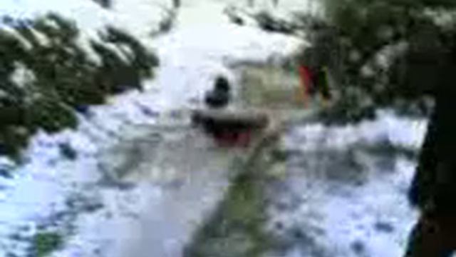 Sulla neve a cigoli смотреть онлайн