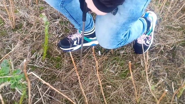 Сеим покровные рожь и Вику, проверяем плотность почвы 5.10.19 смотреть онлайн