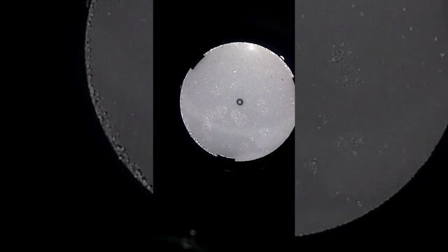 Мой телескоп после наблюдений) смотреть онлайн