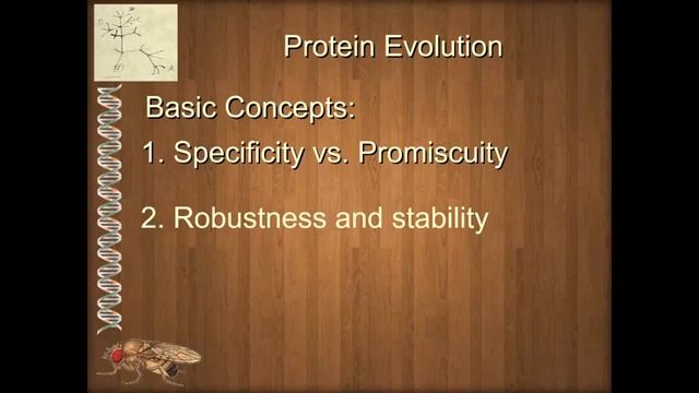 Unit 1 3 2 Protein Evolution and Domains смотреть онлайн