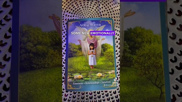 Unlock Your Inner Teacher - Tarot Guidance for Learning to Love and Shine. #journeyofloveandlight смотреть онлайн