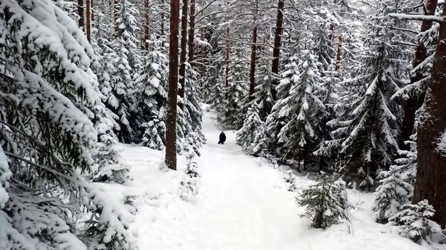 Гора Ненаглядная, экотропа "Токсовские высоты" смотреть онлайн