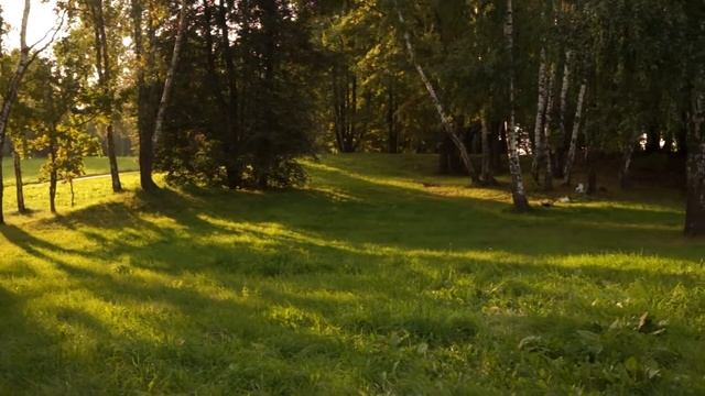 Ландшафтный парк Митино смотреть онлайн
