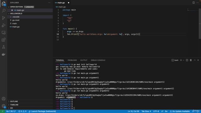3. Golang: Hello world with command arguments смотреть онлайн