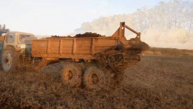 Внесение органических удобрений навозоразбрасывателем ПРТ-7 смотреть онлайн
