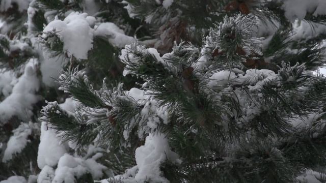 Народный праздник Бабий кут 25 января. Татьяна Крещенская. Народные традиции и приметы. смотреть онлайн