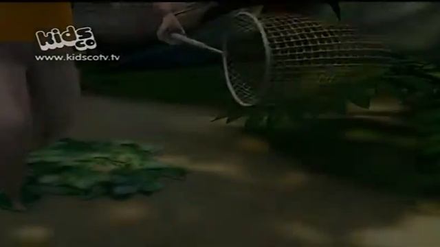 The Future is Wild - Ep.1 Extreme Bird Watching (Kidsco) смотреть онлайн
