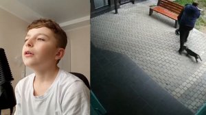 топ 4 реальных боёв человека с собакой