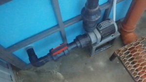 Строительство УЗВ для осетр в Краснодаре