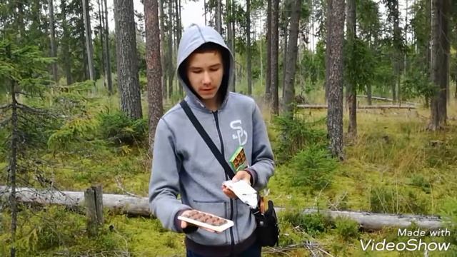 Шоколад shogetten. смотреть онлайн