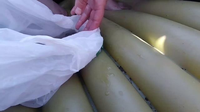 Рыбалка в Поволжском. Отдых. Самарская область. Россия. смотреть онлайн