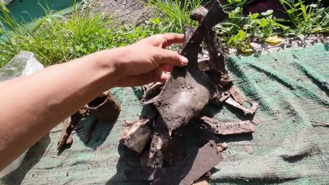 Пока кормилицы пустые хожу копать в лес ) находки в лесу смотреть онлайн