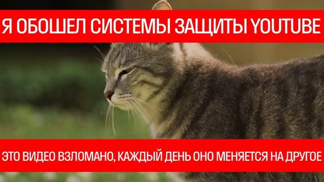 kriper2004 - Это видео меняется каждый день (02.12.22) смотреть онлайн