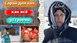 САРАЙ ДЛЯ КОЗ КАК ВСЕ УСТРОЕНО