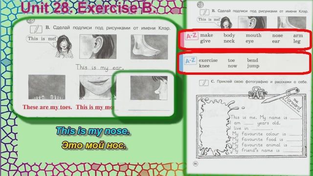 Стр 86 B Рабочая тетрадь 2 класс Вербицкая  английский Forward раздел 28