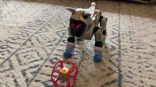 Bonnie the Aibo is Mad at Square Ball смотреть онлайн