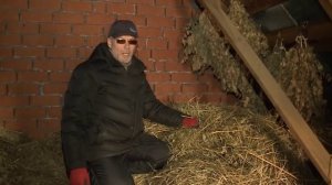 разведение кроликов, бизнес, кроличья ферма