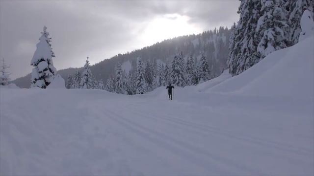 фишер смотреть онлайн