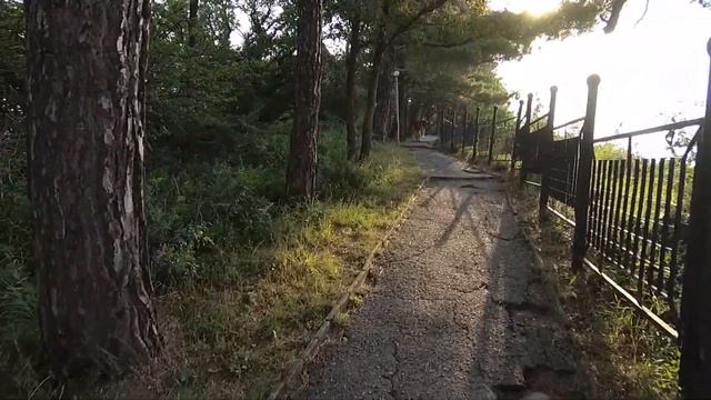 Прогулка по территории БО МО Бетта