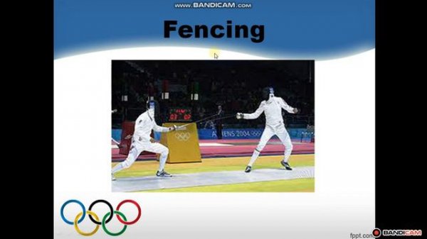 Lesson 2 Team sports and individual sports