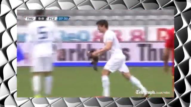 Куница на футбольном поле смотреть онлайн