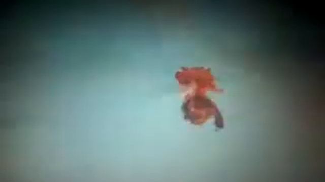 КРАСНАЯ ВОДА смотреть онлайн