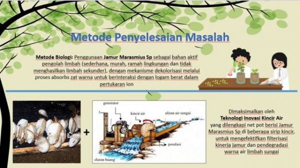 Kincir Air Marasmius Sp