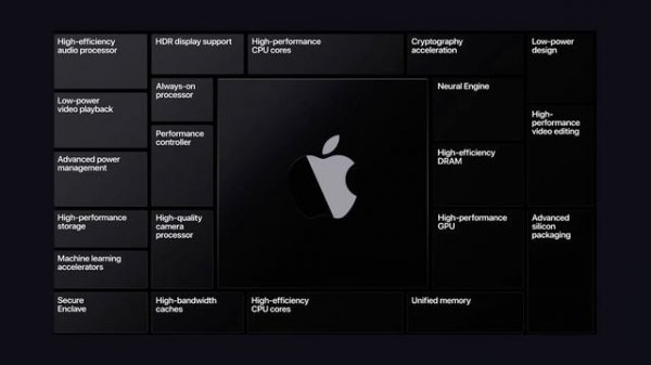 CPU vs GPU vs TPU vs DPU vs QPU
