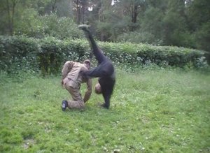 Русское боевое искусство. Техники ВЕДВОЙ Ч.1