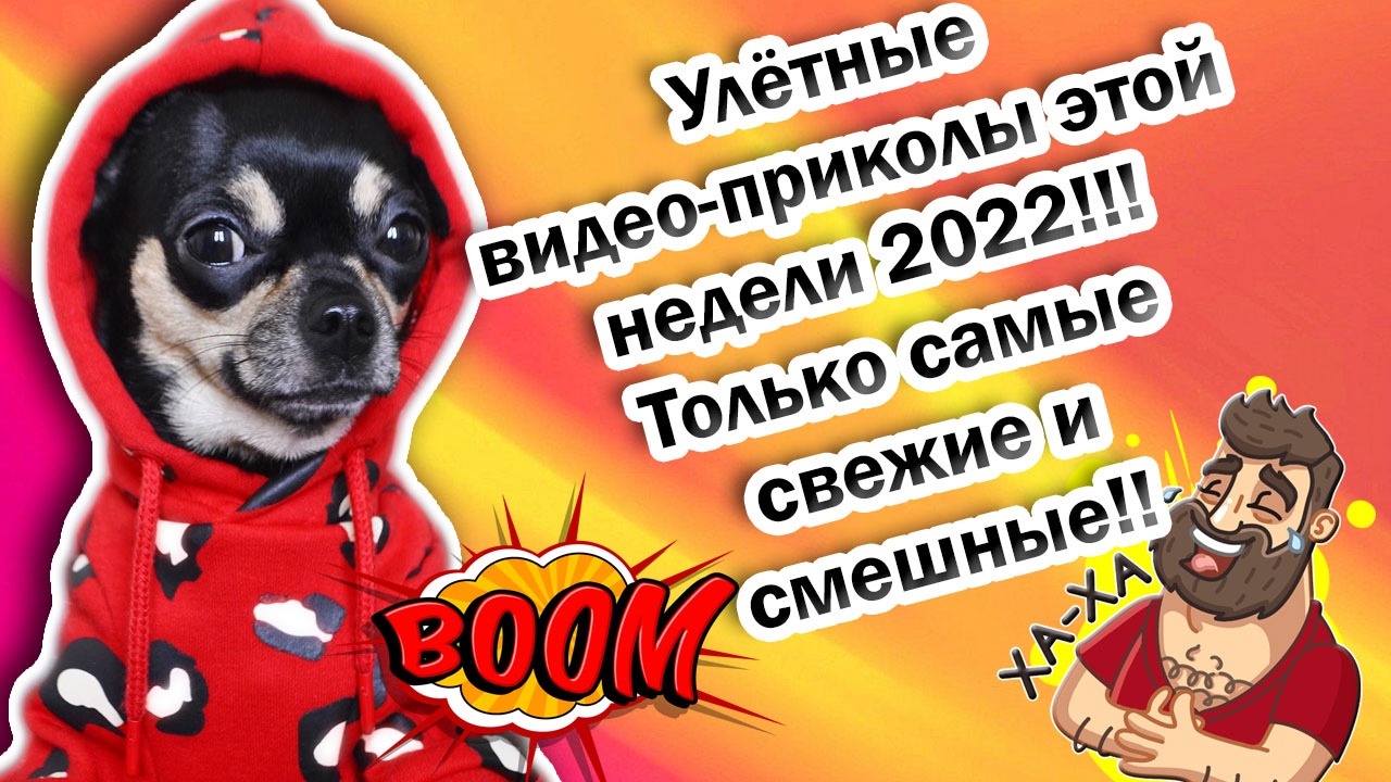 Приколы 2022