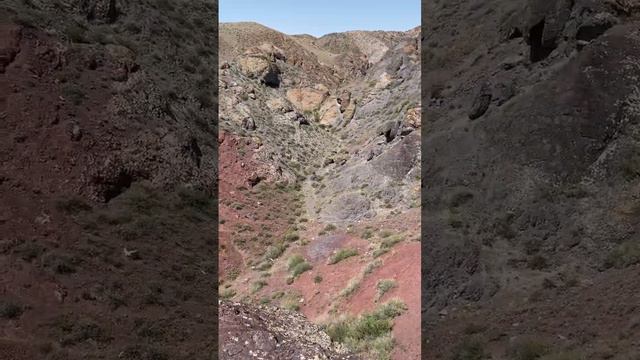 Путешествие по миру #кочевники #казахстан #алматы #путешествия #путешествие смотреть онлайн