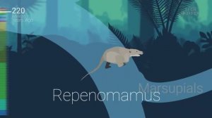 эволюция от бактерий до человека (на английском)