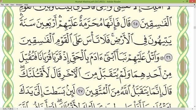 Шейх Айман Сувейд сура Аль Маида стр 112 смотреть онлайн