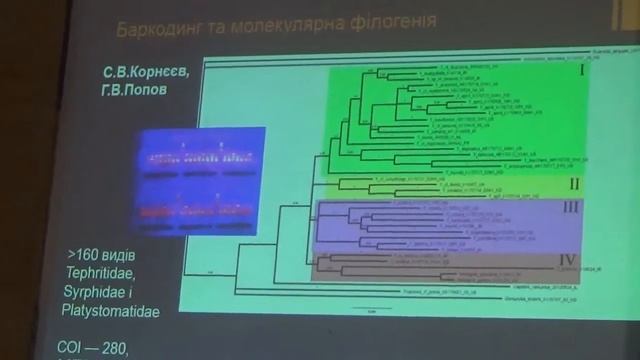 Корнеев В.А. Отчет Отдела Энтомологии Института зоологии НАНУ за 2018 год (Киев) смотреть онлайн