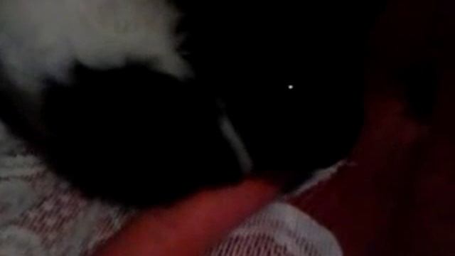 1970. január 1. 01:00 смотреть онлайн