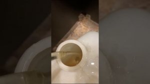 Обзор на спиртовую колонну «Сфера»