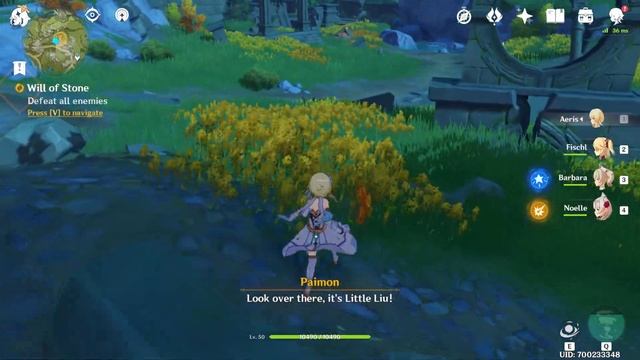 How to Find Little Liu in Genshin Impact - Will of Stone Quest Guide смотреть онлайн