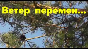 #62 Ветер перемен...