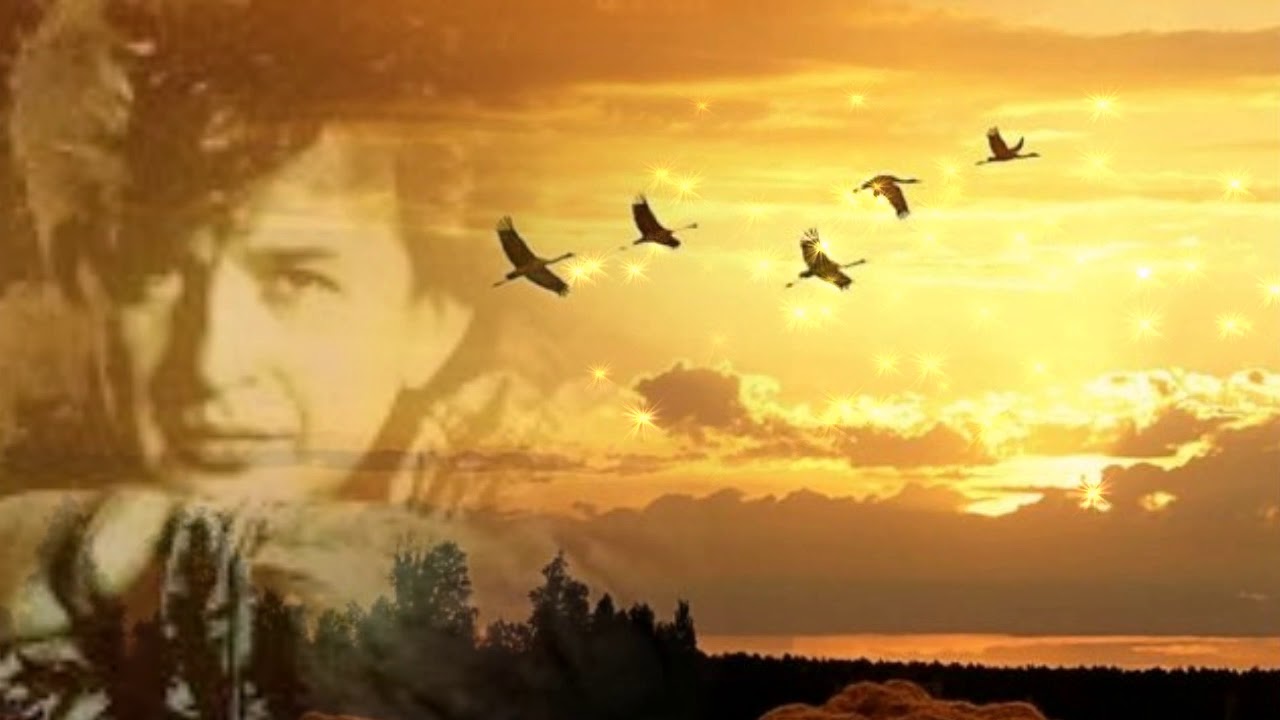 Птицы (А. Барыкин) разбор на гармони №-272 с цифрами смотреть онлайн