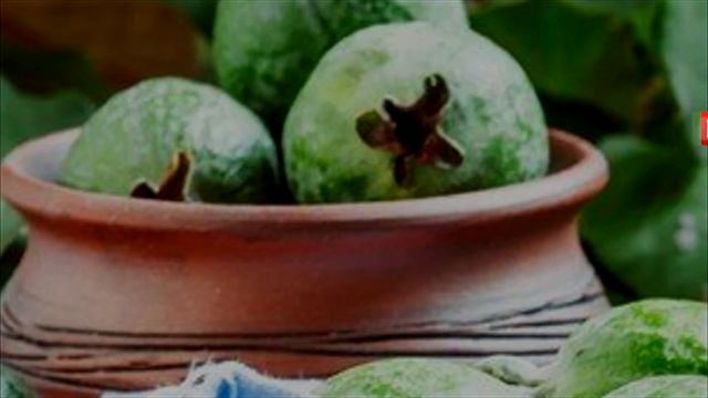 Наступает пора ФЕЙХОА! Берем мед, лимон и готовим полезные вкусняшки смотреть онлайн