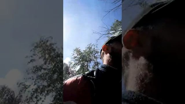 Как купить метал в два раза дешевле." смотреть онлайн