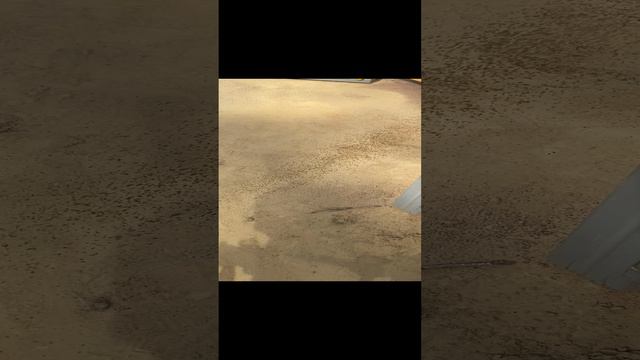 Учиться стрелять))))