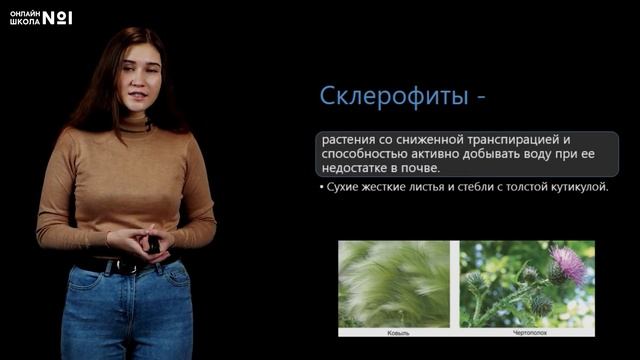 Приспособления к действию экологических факторов: вода. Видеоурок 25. Биология 11 класс смотреть онлайн