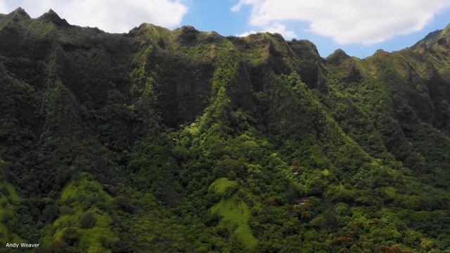 Beautiful Relaxing Music,Relaxing Guitar Music,Instrumental Music,Romantic Guitar,Calm Music,Study смотреть онлайн