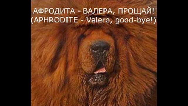 АФРОДИТА ВАЛЕРА, ПРОЩАЙ! APHRODITE Valero, good bye! смотреть онлайн