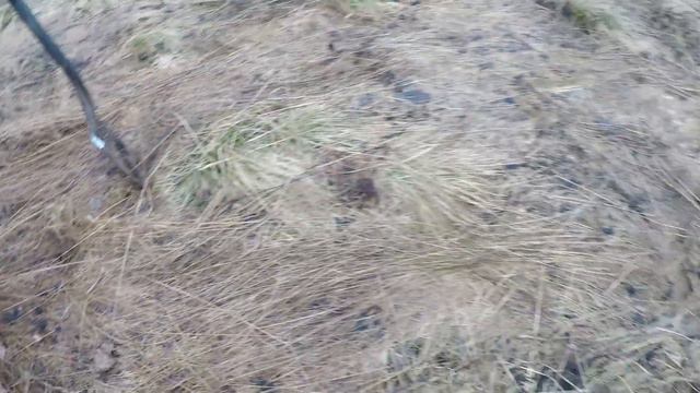 Пряжки тут валялись по всюду. Эта деревня запомнится на долго! В поиске старины. смотреть онлайн